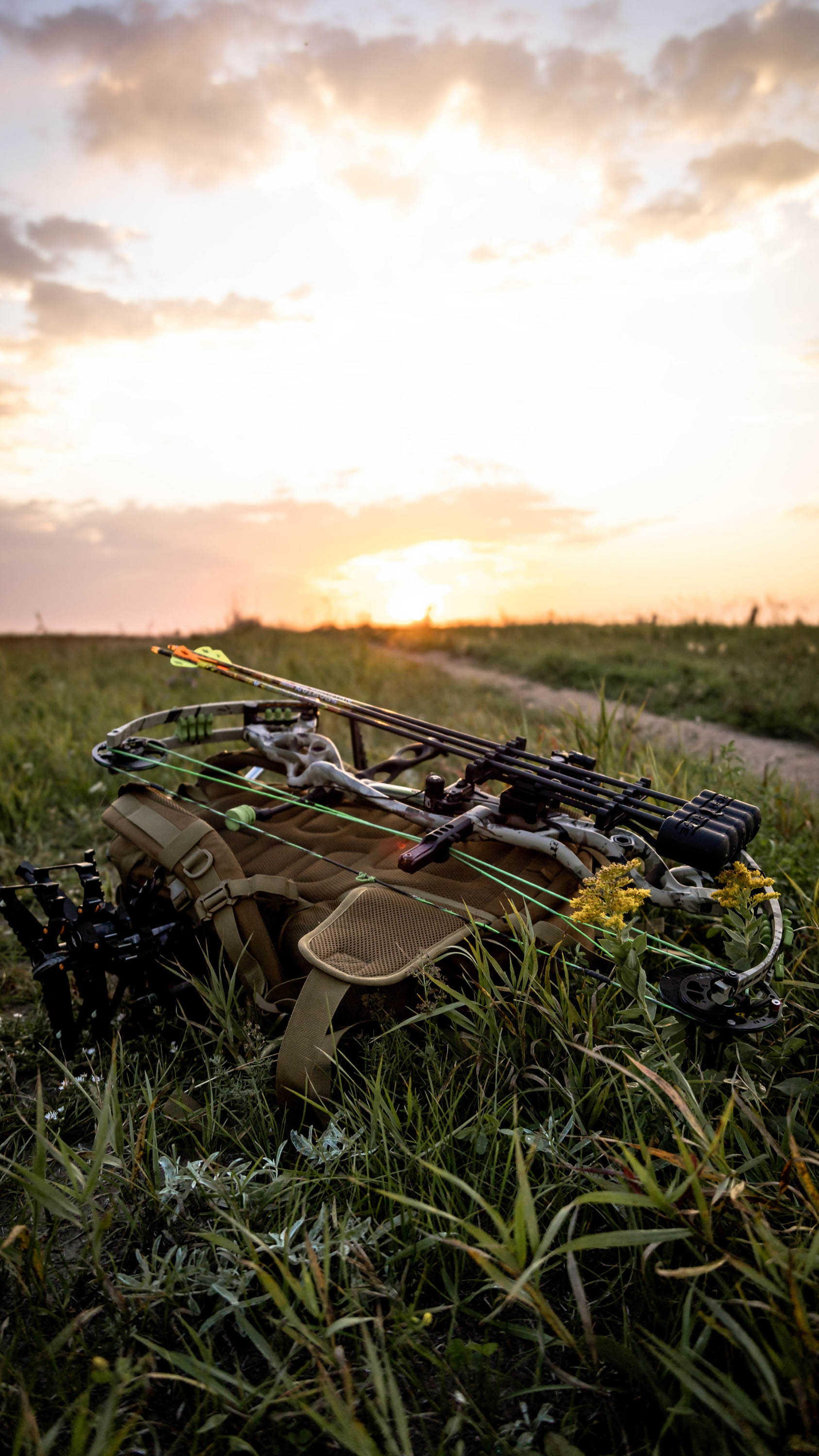 The General: Legendary whitetail deer that holds the title for the largest recorded typical rack in history