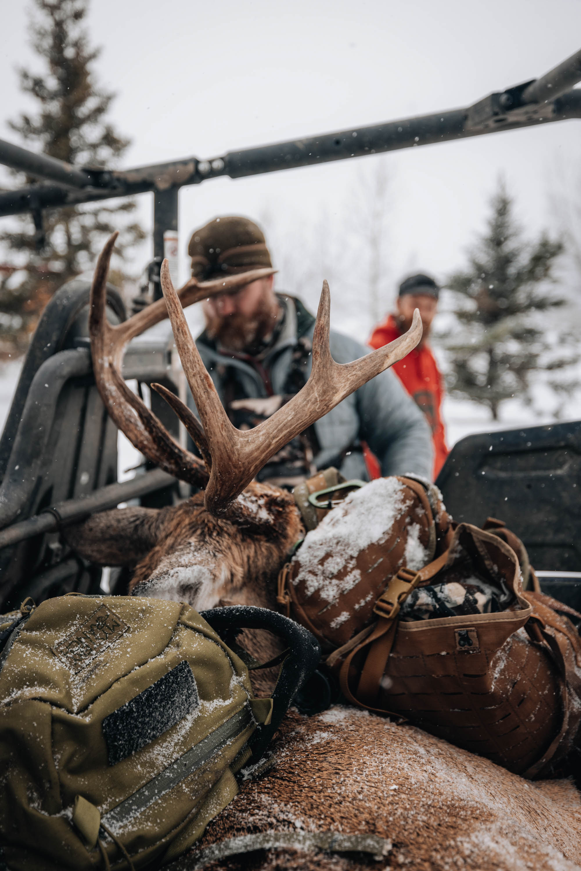 Tracking Whitetail Deer